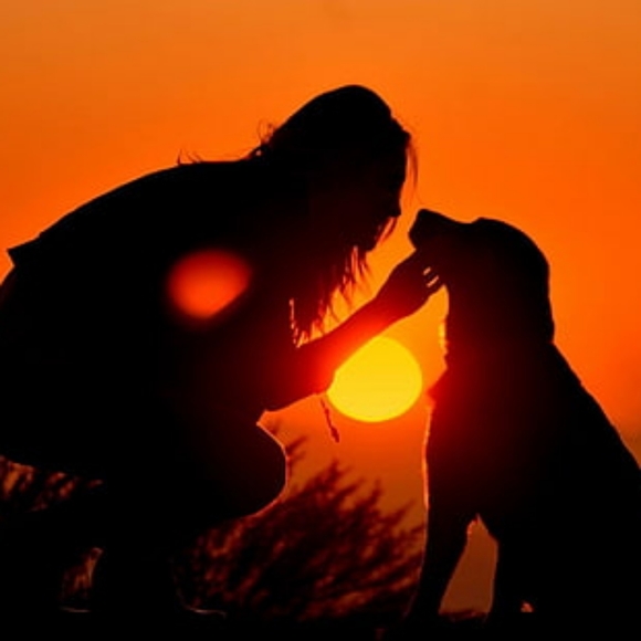 Love 2 shop - Picture 1 of 1